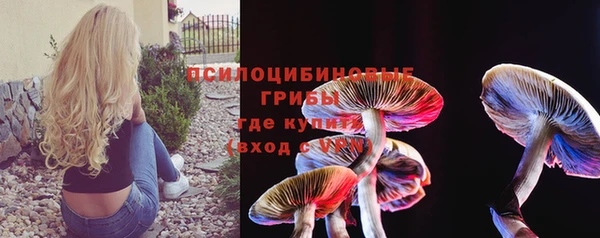шишки Белая Калитва