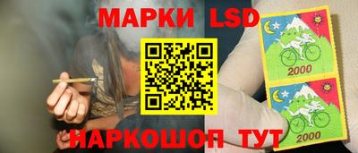 ешки Краснодар