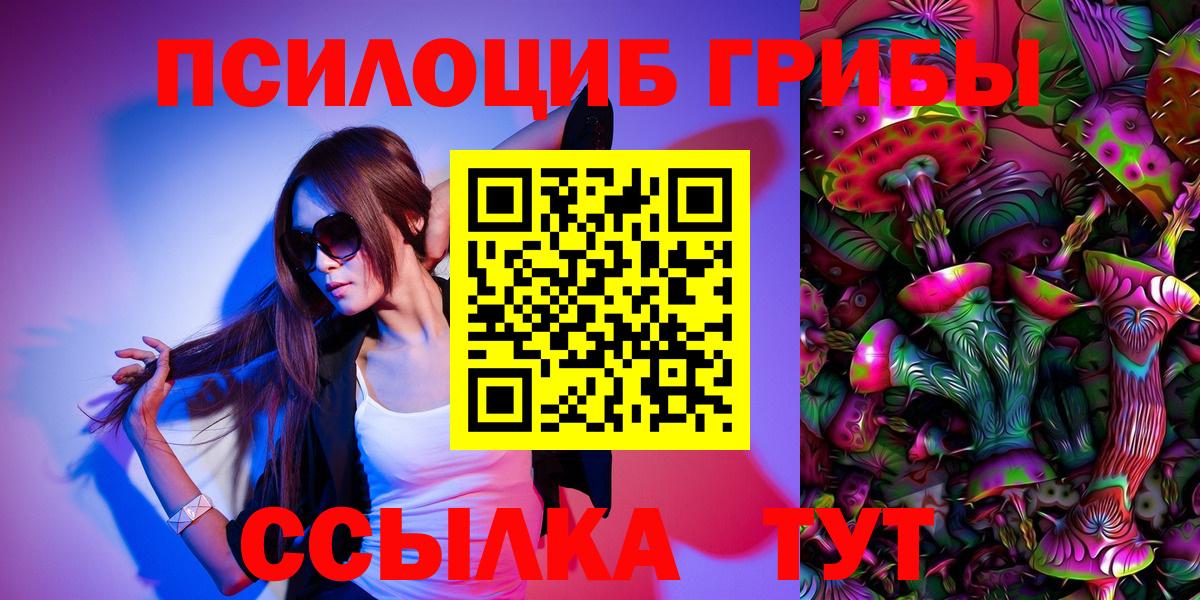Галлюциногенные грибы мицелий  Псилоцибиновые грибы Psilocybine cubensis  как найти закладки  Усть-Илимск 