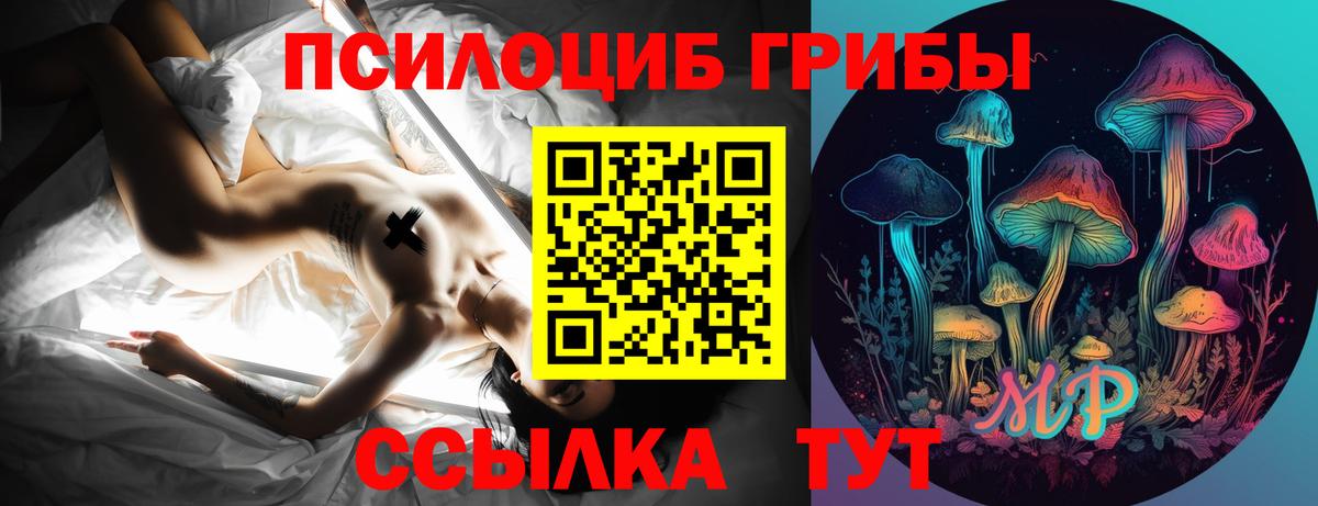 Псилоцибиновые грибы мицелий Усть-Илимск