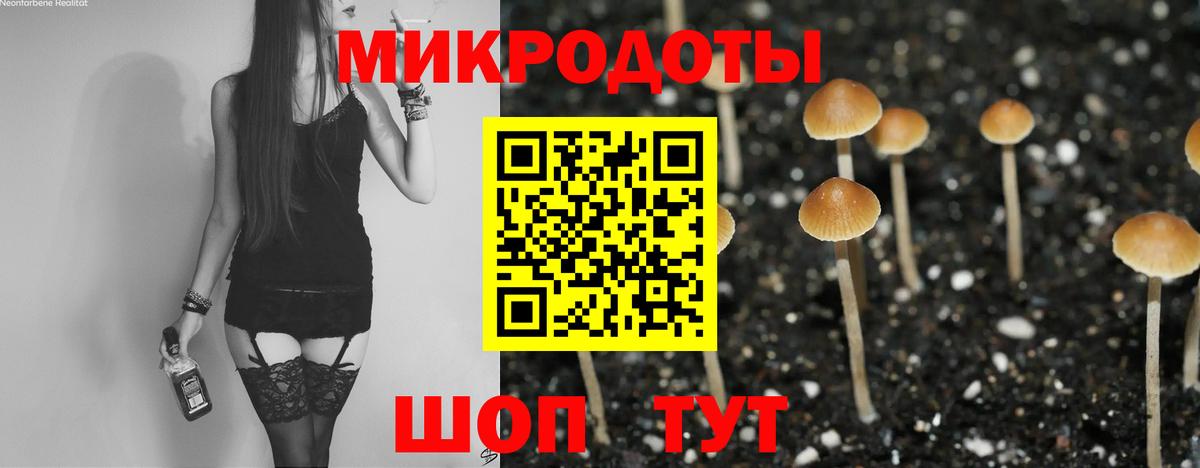 Усть-Илимск  Галлюциногенные грибы Magic Shrooms  Вход с VPN  Галлюциногенные грибы прущие грибы 