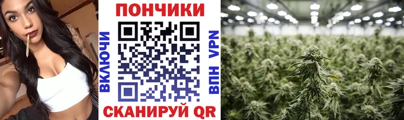 Каннабис ГИДРОПОН  kraken рабочий сайт  Усть-Илимск 